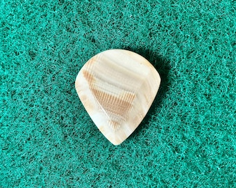 Seashell guitar pick/10.3mm thick. Jazz profile... by BeachSidePicks.