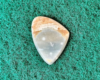 Seashell guitar pick/2.9mm thick, asymmetrical shape... by BeachSidePicks.