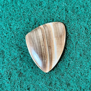 May include: A polished, shield-shaped stone with a natural pattern of light and dark brown bands. The stone is set against a textured, teal-green background.