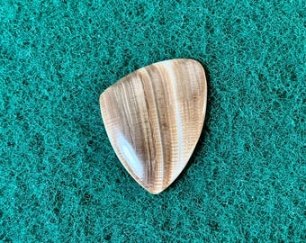 Seashell guitar pick/5.2mm thick, asymmetrical shape... by BeachSidePicks.