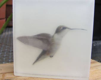 Hummingbird Glycerin Soap – Organic & Vegan Luxury