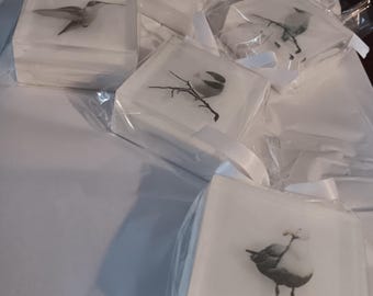 The "Harpswell Collection" Gift Set – Chickadee, Cardinal, Hummingbird, Cedar Waxwing, Seagull – Organic & Vegan