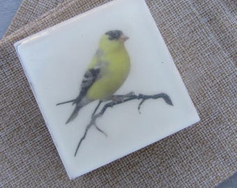 Yellow Finch Soap – Organic & Vegan Bird-Inspired Art