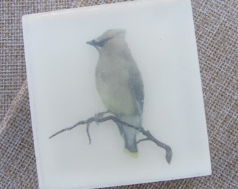 Cedar Waxwing Glycerin Soap: Organic Vegan Bird Art
