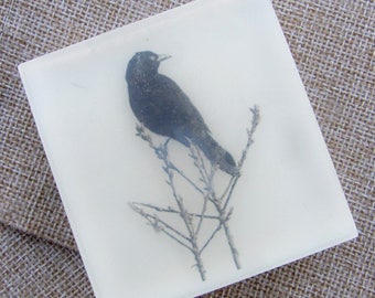 All Natural Glycerin Soap - The Blackbird