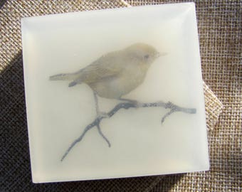 Blackpoll Warbler Glycerin Soap – Vegan & Gentle Cleanser