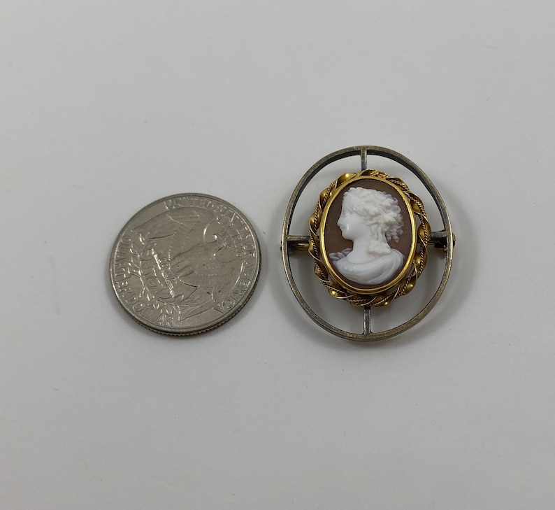 May include: A cameo brooch with a white cameo of a woman's profile set in a gold frame. The frame is surrounded by a silver filigree design.