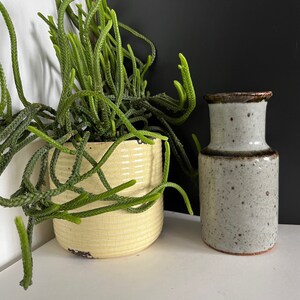 May include: A small, speckled, gray ceramic vase with a brown rim sits on a white surface next to a yellow planter with a green succulent plant.