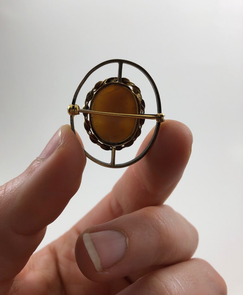 May include: A gold and silver oval brooch with a brown cameo set in a gold frame. The frame is decorated with a braided design.