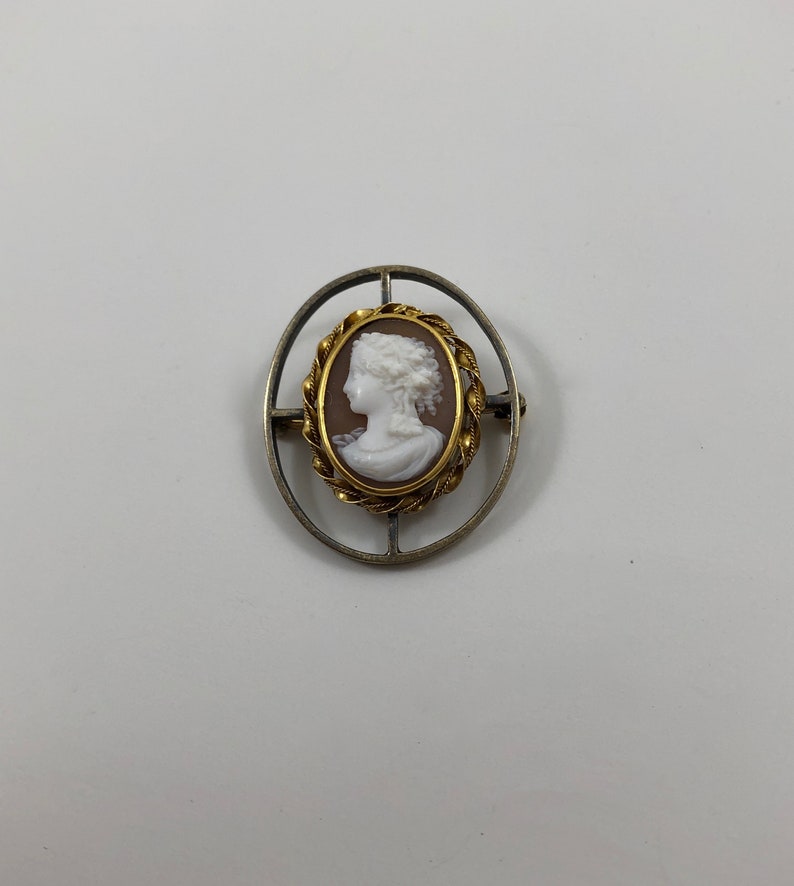 May include: A cameo brooch featuring a white profile of a woman with a gold frame and a silver oval setting.