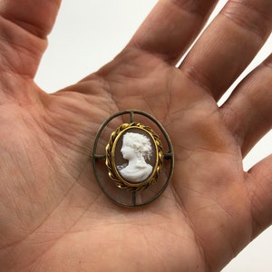 May include: A gold-toned cameo brooch with a white cameo of a woman's profile. The cameo is set in a gold-toned frame with a braided design.