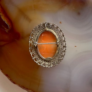 May include: A cameo brooch with a delicate silver filigree design. The cameo features a carved portrait in shades of orange and white.