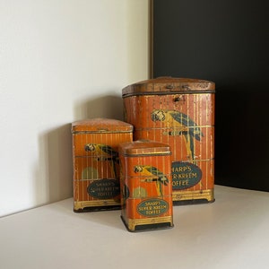 Set di 3 pappagalli in latta di caramello super verde Sharps antichi degli anni &#39;20 in gabbia