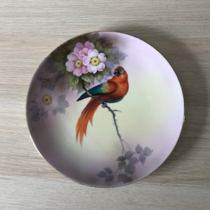 Antique Noritake A Haruna Signed Macaw Parrot Hand Painted Plate