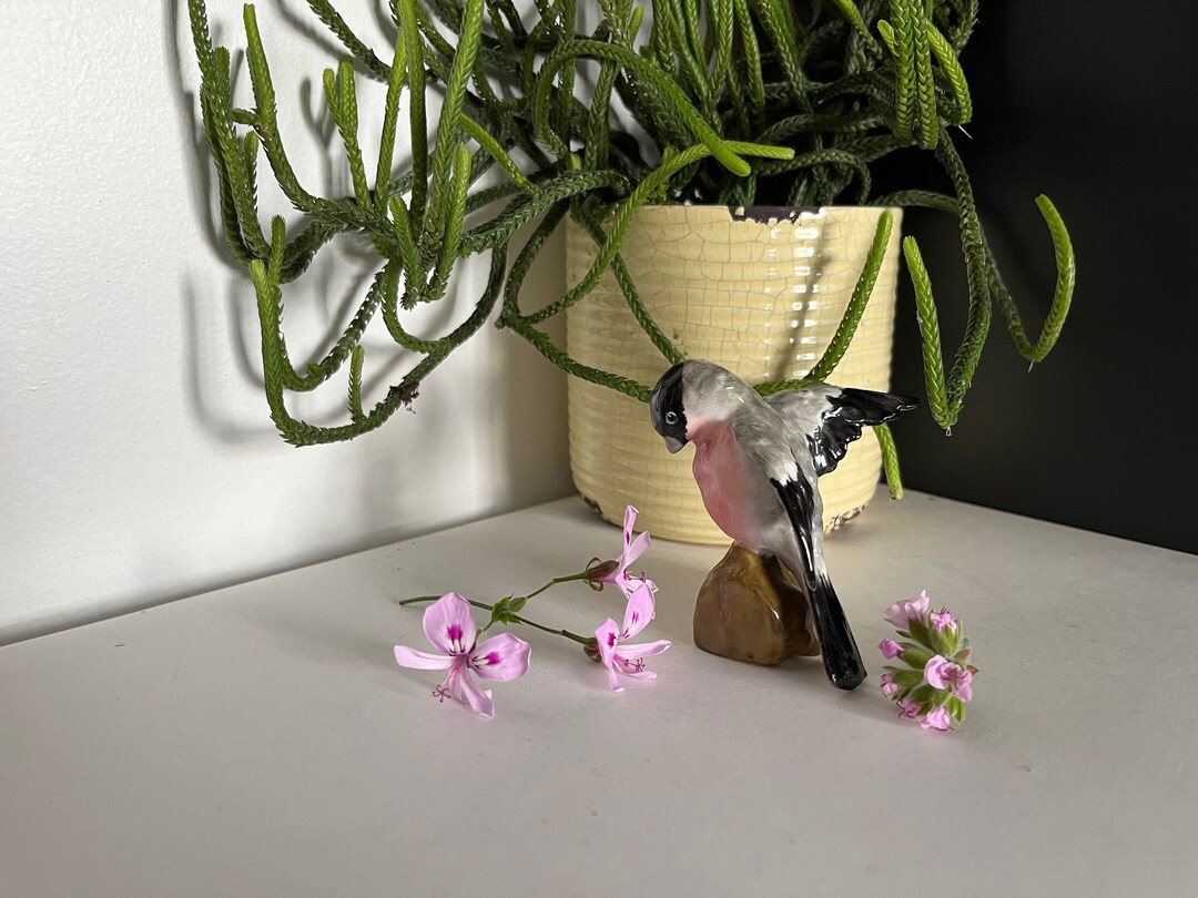 Vintage Crown Staffordshire JT Jones Bullfinch Bird Figurine - Etsy