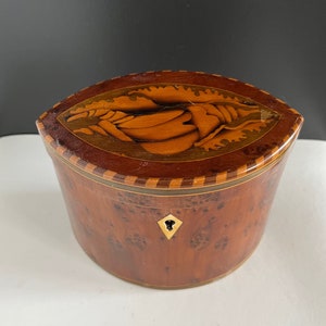 Antique Georgian 19th Century Inlaid Wood Navette Shell Tea Caddy