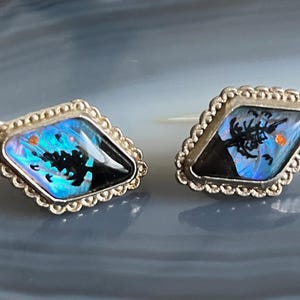 May include: A pair of silver earrings featuring a blue and black butterfly wing design. The wings are set in a diamond-shaped frame with a beaded border.