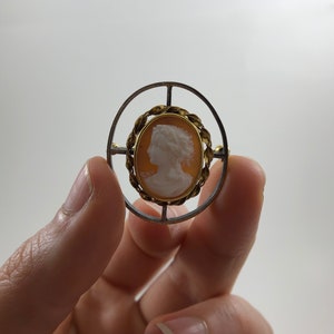May include: A cameo brooch with a gold and silver frame. The cameo features a white profile of a woman with a detailed hairstyle. The frame is a twisted rope design.
