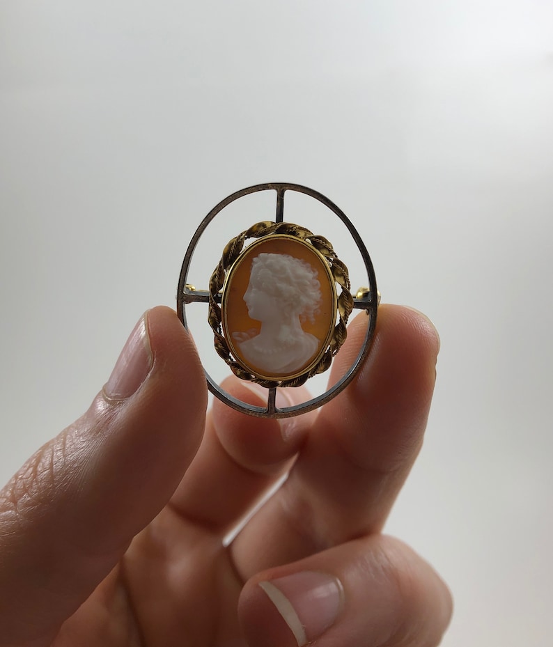 May include: A cameo brooch with a gold and silver frame. The cameo features a white profile of a woman with a detailed hairstyle. The frame is a twisted rope design.