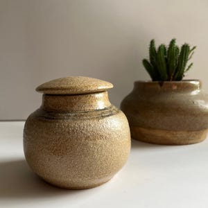 Puede incluir: Un pequeño tarro redondo de cerámica beige con tapa. El tarro tiene una textura moteada y una banda marrón oscura alrededor del centro. La tapa es ligeramente abovedada y tiene una superficie lisa.