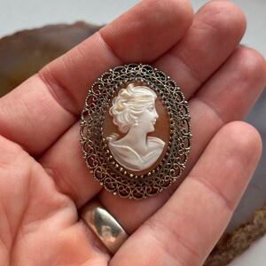 May include: A cameo brooch featuring a carved shell portrait of a woman with a detailed filigree frame.
