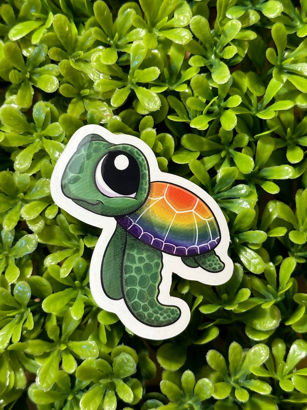 Turtlef Stickers Turtle Sticker| Rainbow Sticker |waterproof Sticker | UV Protected ...