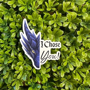 I Chose You Sticker | Fourth Wing|Waterproof Sticker | UV Protected Sticker | Vinyl Sticker | Iron Flame | Onyx Storm | Sgaeyl and Xaden