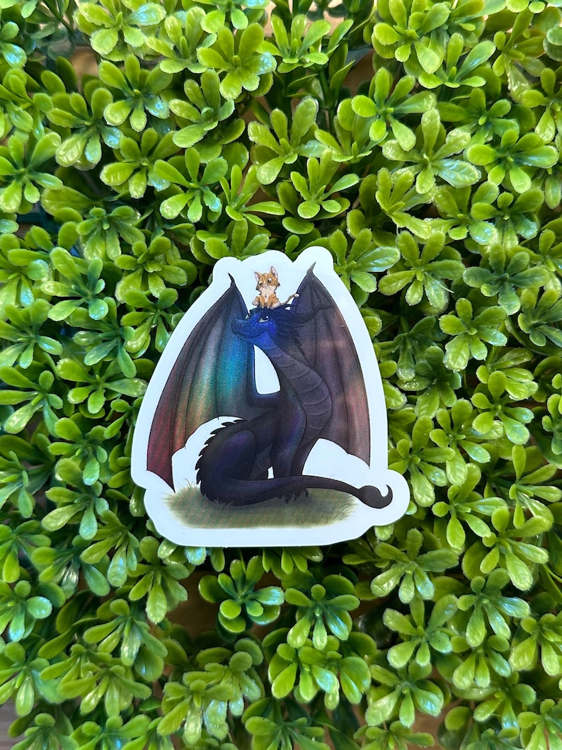 May include: A sticker featuring a black dragon with iridescent wings and a small orange cat sitting on its head.