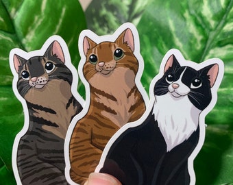 Tabby Cat Sticker | Cat Sticker | Waterproof Sticker | UV Protected Sticker | Pet Sticker |