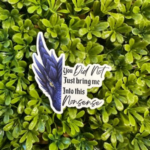 May include: A sticker featuring a blue dragon's head with the text "You Did Not Just Bring Me Into This Nonsense".