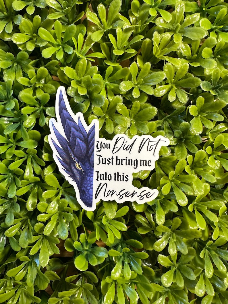 May include: A sticker featuring a blue dragon's head with the text "You Did Not Just Bring Me Into This Nonsense".