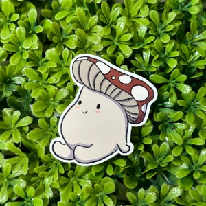 Stargazing Mushroom Sticker |Waterproof Sticker | UV Protected Sticker | Vinyl Sticker | Laptop Sticker | Decal |