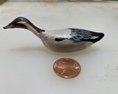 Miniature Drake Pintail Duck Decoy