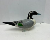 Minnesota Drake Pintail Duck Decoy 2
