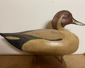 Drake Pintail Duck Decoy