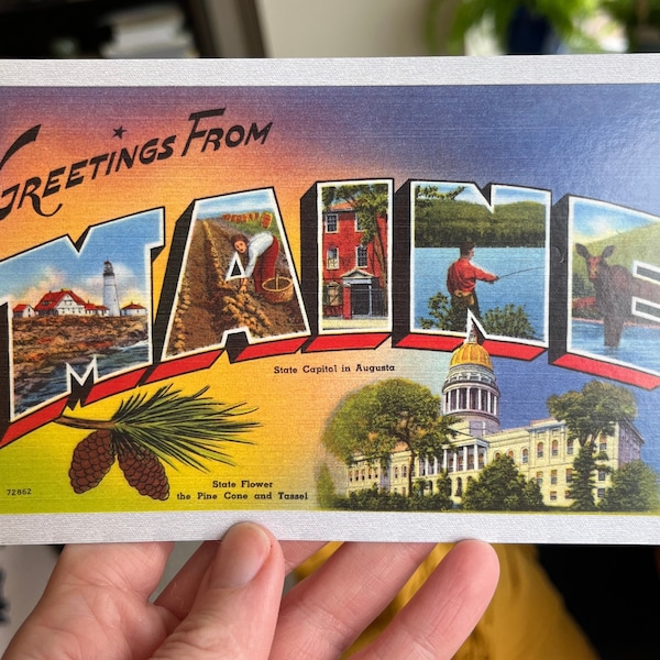 Greetings from Maine 4x6 Inch Postcard