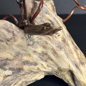 May include: Close-up of a driftwood sculpture with a natural, weathered appearance. The wood is a mix of light and dark browns, with a textured surface. Thin, reddish-brown branches extend from the wood, adding a delicate contrast to the piece.