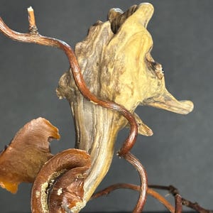 May include: Close-up of a piece of driftwood with a light brown and tan color. The wood has a rough texture and is intertwined with thin, dark brown vines. The background is a solid dark gray.