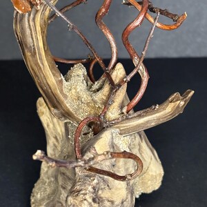 May include: Close-up of a natural wood sculpture featuring intertwined, reddish-brown vines and small branches. The sculpture has a light brown, textured base with a sandy appearance, set against a dark background.