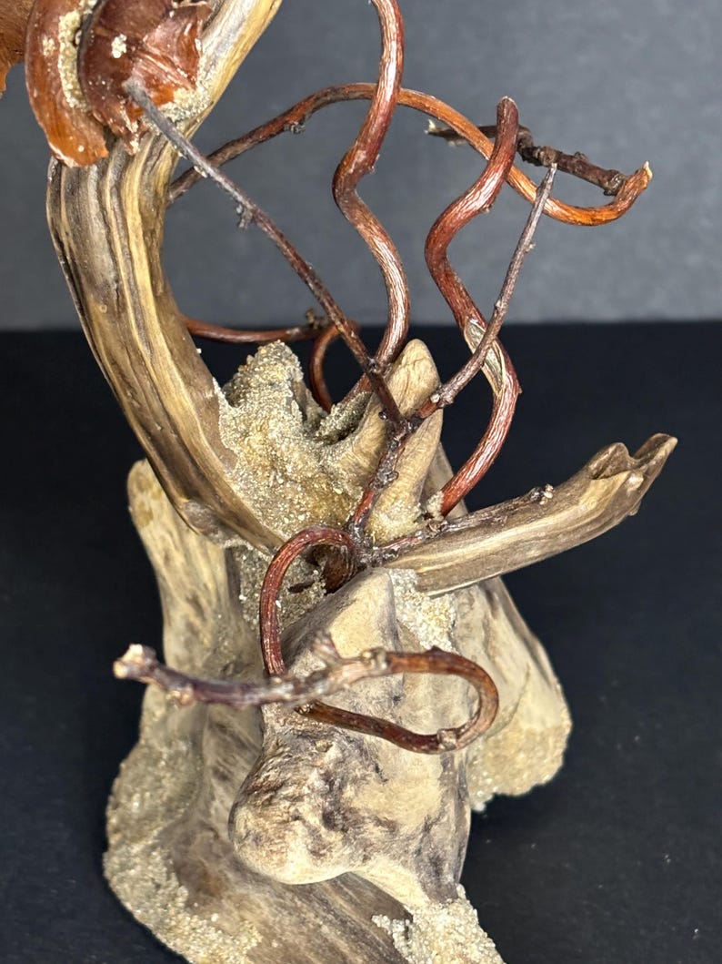 May include: Close-up of a natural wood sculpture featuring intertwined, reddish-brown vines and small branches. The sculpture has a light brown, textured base with a sandy appearance, set against a dark background.