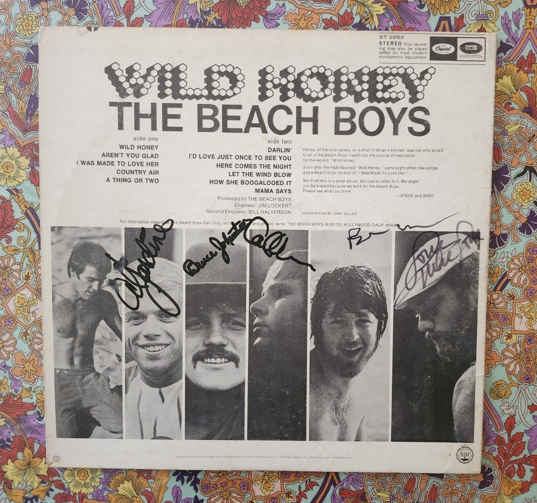 ビーチボーイズLP ブライアン・ウィルソン マイク・ラヴ アル・ジャーディン直筆 il_1080xN.7053063456_qzw2.jpg