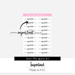 Adesivi importanti per planner / Adesivi funzionali per planner / Bullet Journal, Filofax, Erin Condren, Happy Planner
