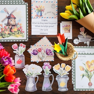 Étude sur les tulipes, Fleurs de printemps, Pays-Bas, Cycle de vie d'une tulipe, Activités scolaires à la maison, Produits à imprimer, Parties d'une tulipe, Tulipe en papier 3D