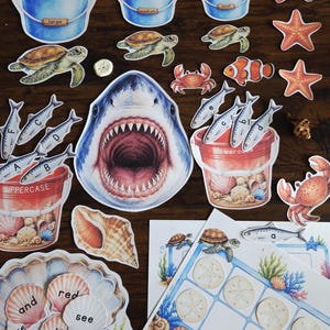 May include: Watercolor illustrations of marine life and educational elements. Includes buckets labeled "large," "medium," and "small" filled with shells and crabs, a shark, fish, turtles, starfish, and word cards.
