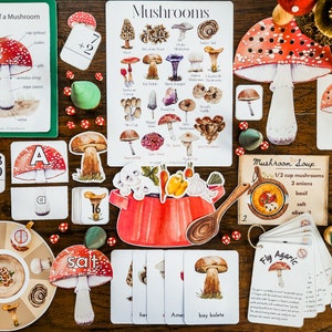 Mushrooms, Fungi, Mushroom bundle, Mushroom Unit, Printables, Homeschool activities, Montessori Study, Unit Study