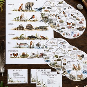 May include: An educational animal classification chart featuring mammals, birds, reptiles, amphibians, fish, and invertebrates. Includes circular diagrams with animal facts, multiple 'Who Am I?' question cards, and detailed watercolor illustrations.