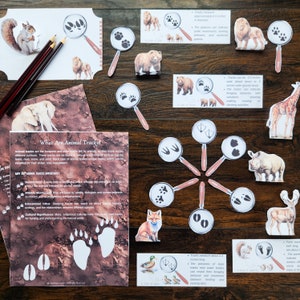 Tracce, Tracce di animali, Tracce di leoni, Scuola domiciliare, Scuola dell'infanzia, Animali, Animali da fattoria, Animali da safari, Identificazione delle tracce, Cestino mattutino