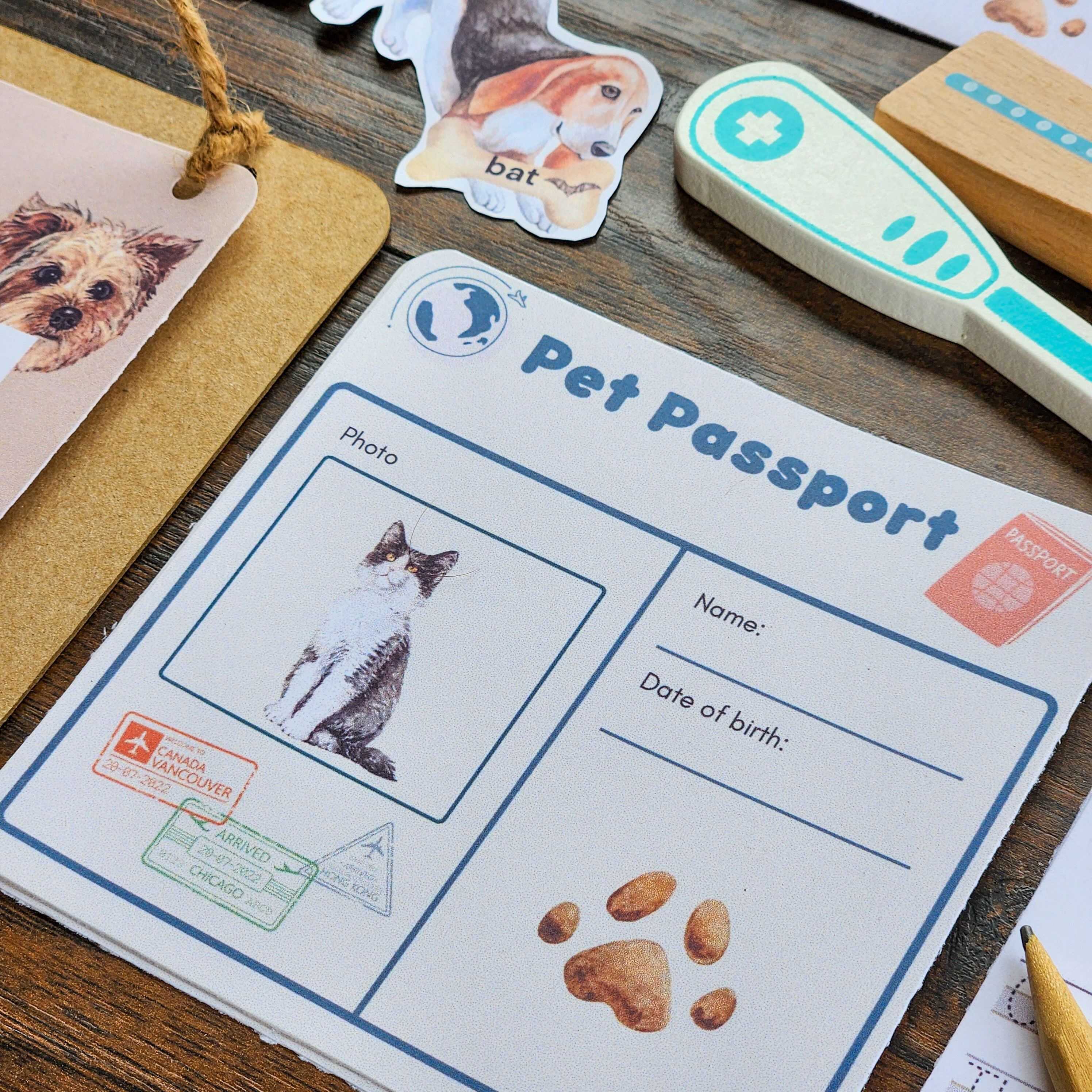 Veterinary Pack, Montessori Pack, Homeschool Activities, Animals Pack