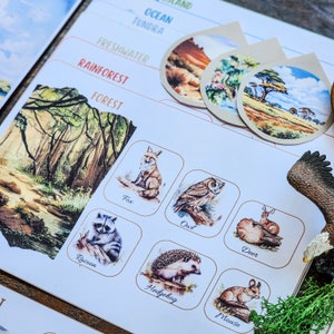 May include: A white educational chart with colorful illustrations of animals and their habitats. The chart includes images of a fox, owl, deer, raccoon, hedgehog, and mouse. The chart also includes text labels for each animal and habitat.
