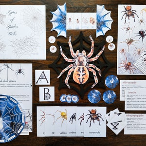 May include: An educational set for learning about spiders. It includes a large spider web with a spider in the centre, cards with different types of spiders, and a spider web chart with different types of webs. The cards have the names of the spiders written on them, such as "yellow sac spider", "zebra jumping spider", and "tarantula".